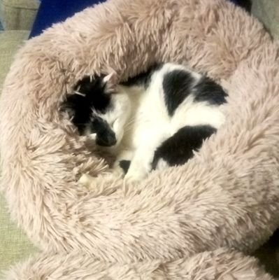 OE5d76's profile picture. 良い出会いが欲しいわ～！