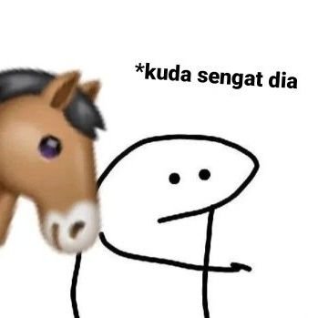 toserandal's profile picture. 