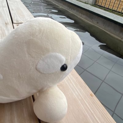 hi0929_'s profile picture. 和歌山県の山出身 AIT kk シス研 27卒 沢山のものを見て、体験して生きたい。