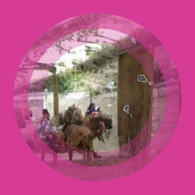 BeatrizPen86242's profile picture. Mixer sources