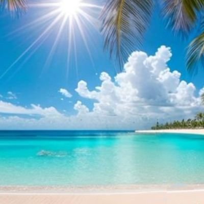 rossZ44's profile picture. 