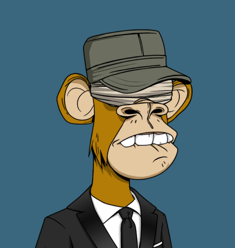 vbtulip41's profile picture. 