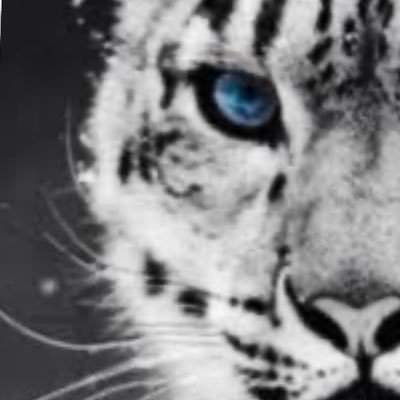 半端で下手くそなイラストを 細々晒す垢。ツッコミは猛獣だけど小心者なので檻の外から見ているだけの動物園の観客程度でお願いします🤲 韓流華流ドラマが好きで題材にしております。小型の猛獣は隣人で、時々愚痴を言い合う仲です。奴らはなぜだか俺より毛が沢山で羨ましい限りです。