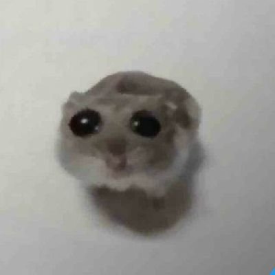 듀바듀さんのプロフィール画像