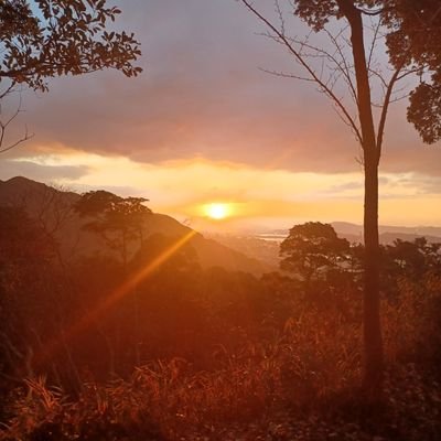 RoOSzsgmmU12578's profile picture. 