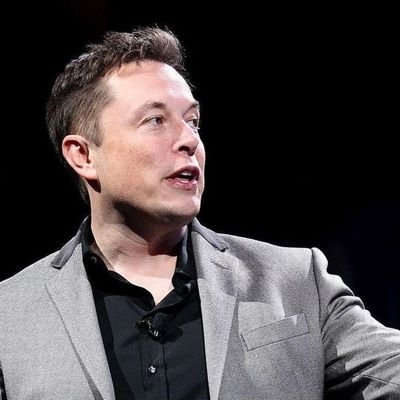 elonmusk294117's profile picture. 