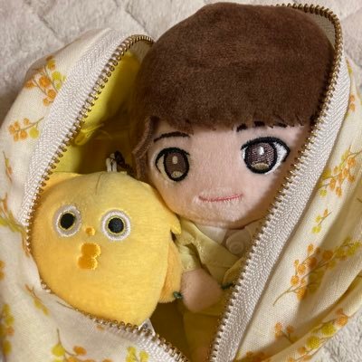 ボス恋で玉ちゃんに落ちて、初のライブ参戦「Kis-My-Ftに逢える de Show」北海道で、あまりの美しさを間近で見て完全に沼堕ち✨💛それから全国回るようになり、初のドーム参戦で度肝を抜かれ、寝ても覚めてもキスマイのことしか考えられない毎日幸せなオタクです🥹