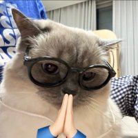 ˗ˏˋ♡ ยู่ยี่ยิงปืนปิ้วปิ้ว 🐶✈️ ˎˊ˗ (@hippoyayee) 's Twitter Profile Photo ˗ˏˋ♡ ยู่ยี่ยิงปืนปิ้วปิ้ว 🐶✈️ ˎˊ˗ (@hippoyayee) 's Twitter Profile Photo