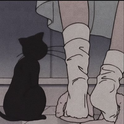 tapiroomm's profile picture. intj