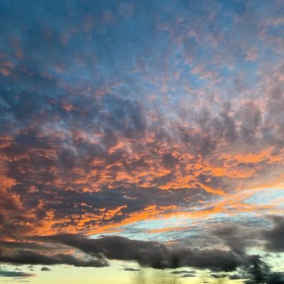 carmeengyg's profile picture. 