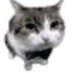 Nooneintresting (@nooneintre55414) Twitter profile photo Nooneintresting (@nooneintre55414) Twitter profile photo