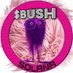 Bush On Solana (@BushOnSolana) Twitter profile photo