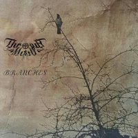 Through Mists (@throughmists) 's Twitter Profile