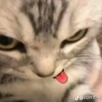 cream (@jake_ki2190) 's Twitter Profile