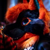 Klaüs (@klausfolfsky) 's Twitter Profile