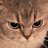 dbstjwls_'s profile image