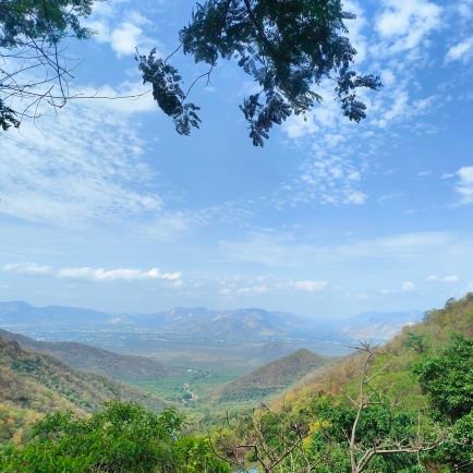 harshasrisampa2's profile picture. VIRAT KOHLI DIE HARD fan |
super star Mahesh Babu fan |
RCBian | 
Jai jagan mamiya |
student |
20+ |
https://t.co/4qPS7NO0y4|
ECEian |