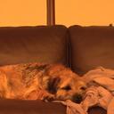 William Joy - @Willhj97 - Twitter