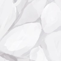 nnoko (@oo_miyu1106) 's Twitter Profile