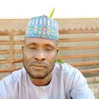 Ibrahim Nafiu (@ibrahimnaf74325) 's Twitter Profile