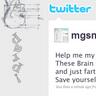 mgsmith57's profile picture. Blowing [in the] wind.