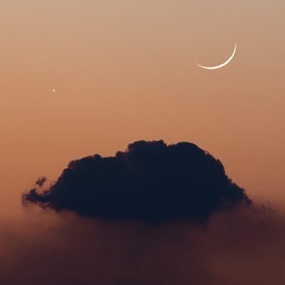 Sh86J55060's profile picture. ان المصلحة الشخصية هي الحجره التي تتحطم عليها كل المباديء