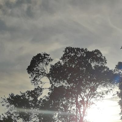 nesathings's profile picture. minat langsung dm ya guys, reply ga masuk notif