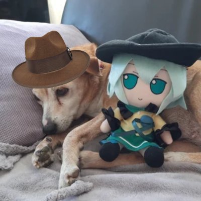 DAVBOT_'s profile picture. Reserving this username.