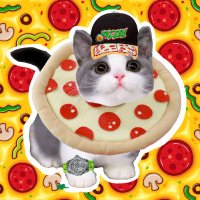 Pizza Puss (@pizzapussonsol) 's Twitter Profile