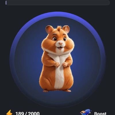 surly4427's profile picture. 