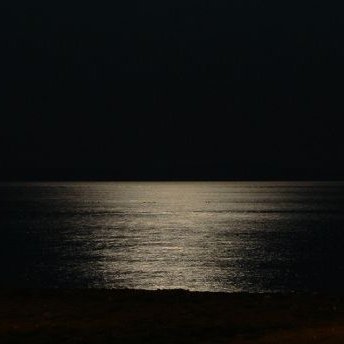 MoonH76695229's profile picture. 