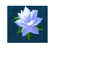 @Canwal1