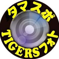 タマスポTIGERSファン(@tamae_sport) 's Twitter Profile Photo