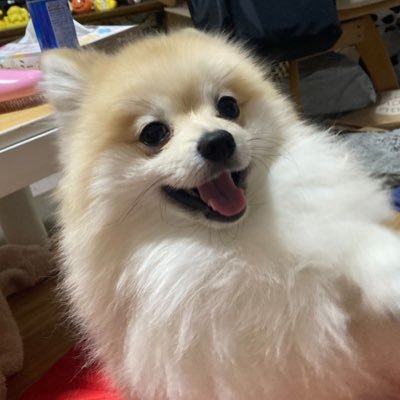 payan_payan_'s profile picture. 元中学校教諭（理科） アニメ マケイン お酒 ポーカー NBA サッカー（名古屋グランパス）などの趣味垢 （据置版）efootball beat the clockガチ勢世界3位、6位、7位獲得 MHWI🔰 ポケモンSV🔰S30から始めてレート1800でギブ note1回だけ書いた ぱやんで検索