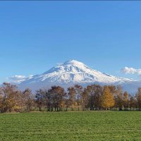 Habip Eksik (@drhabip) 's Twitter Profile