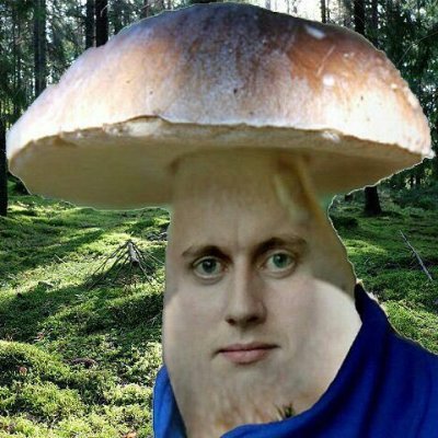 dingusobingus's profile picture. I am the mushroom man, running over kids in my minivan.