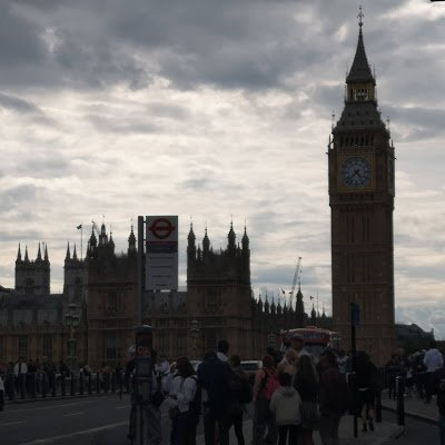 SHaynes14548's profile picture. 