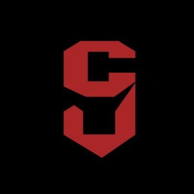 cybersol_lst's profile picture. Our Solana stakers get exclusive deals.