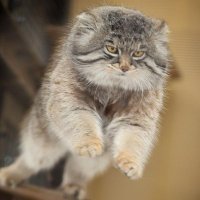 tingwen😺 (@tingwen75) 's Twitter Profile Photo tingwen😺 (@tingwen75) 's Twitter Profile Photo