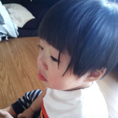 ダンさん🐤さんのプロフィール画像