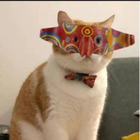 喵彦祖 (@blast_yanzu) 's Twitter Profile