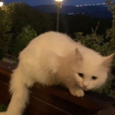 yuiii_73's profile picture. 🥇ほくとさん⭐️