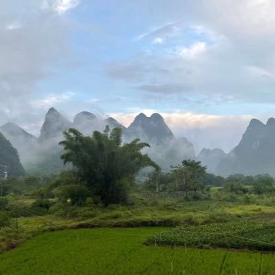 JulyAstra's profile picture. 