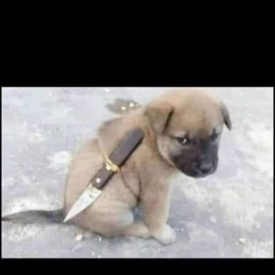 Lebo___'s profile picture. A medical doctor at your emergency (minus thoracotomy) | MBChB (UCT) | Girl mom 🥰🎀