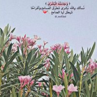 Mh (@1432dlo3h) Twitter profile photo