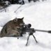 Toumane “Sniper Cat” (@sniperboom346) Twitter profile photo Toumane “Sniper Cat” (@sniperboom346) Twitter profile photo