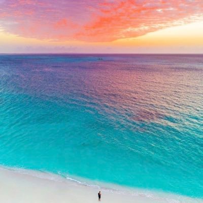 allidoos's profile picture. 