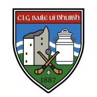 Ballyduff Lower GAA (@ballydufflower) 's Twitter Profile