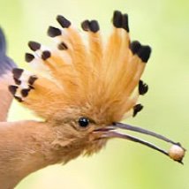 catherindebarra's profile picture. Pro Fakten contra Ideologie.