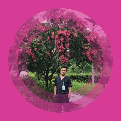 SthaBibek03's profile picture. 